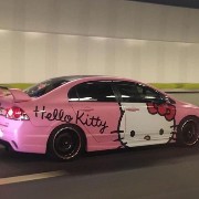 kitty 