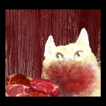 NOM NOM CAT