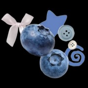 Blueberry