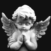 angel widget