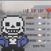 sans info