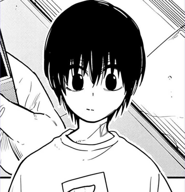 widget nagumo