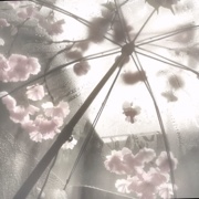 Shoujo 1