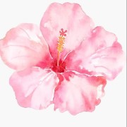 Flower copy