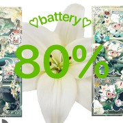 lily battery