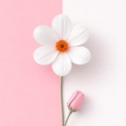 flor pink